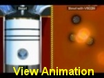 View Animation